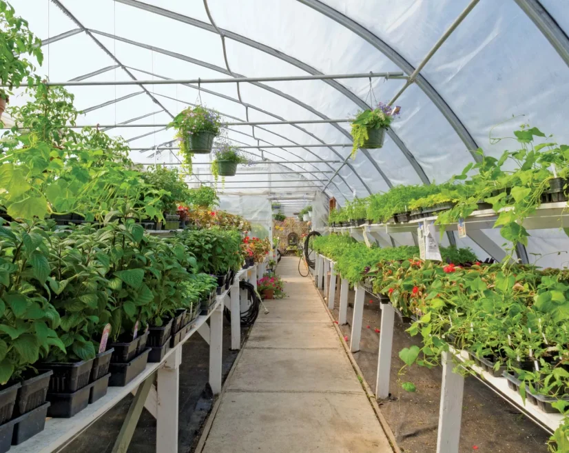 Horticulture & Plantations