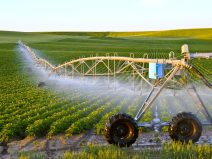 Importance of Reliable Pumps in Modern Agricultural Practices