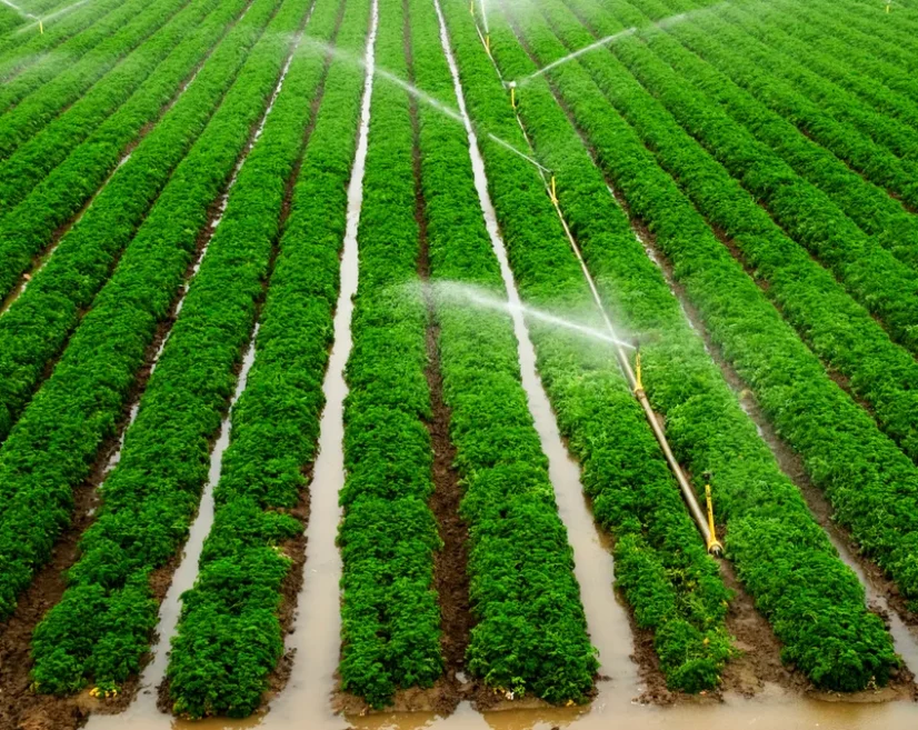 Irrigation